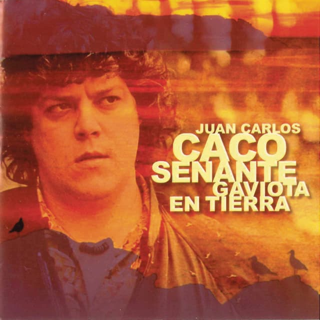 Album cover art for Gaviota En Tierra