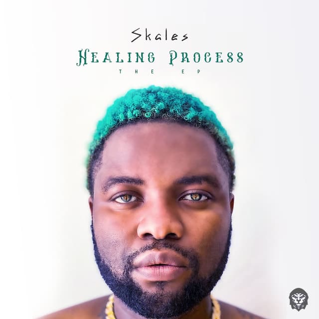 Album cover art for Healing Process
