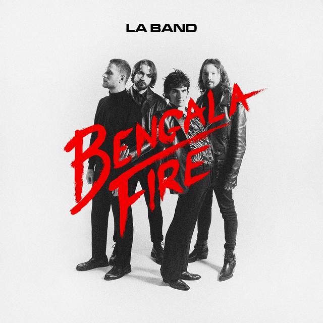 Album cover art for LA BAND