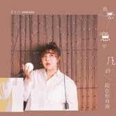 Album cover art for 我願意平凡的陪在你身旁