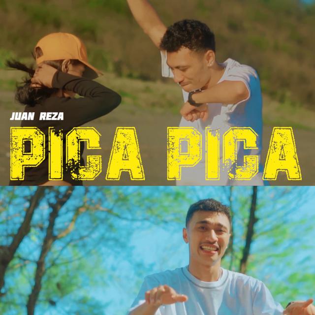Album cover art for PICA PICA