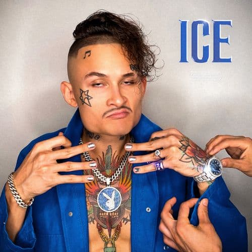 Album cover art for Ice