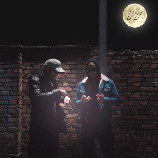 Album cover art for Trick 17