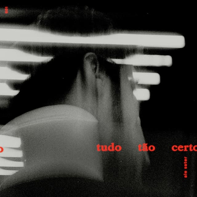 Album cover art for Tudo Tão Certo