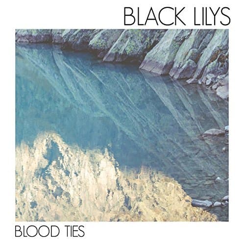Album cover art for Blood Ties