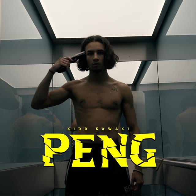 Album cover art for PENG