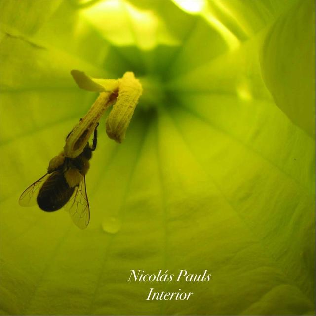Album cover art for Interior
