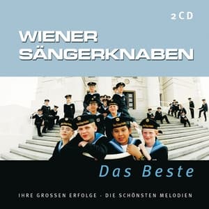 Album cover art for Die Großen Erfolge