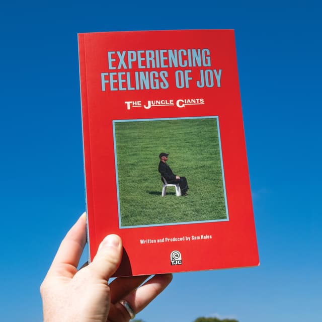 Album cover art for Experiencing Feelings of Joy