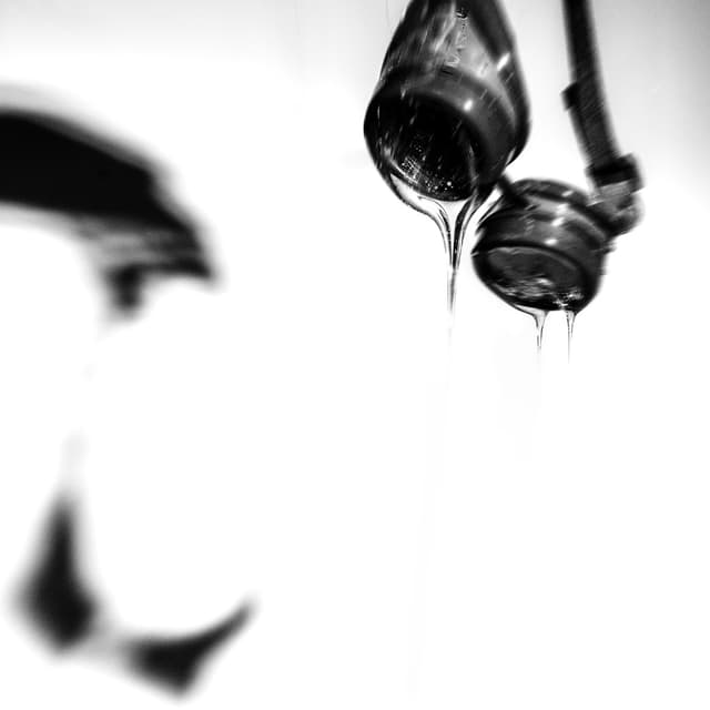 Album cover art for THE LONELY PEOPLE