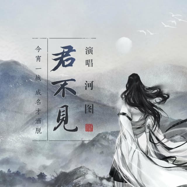 Album cover art for 君不见
