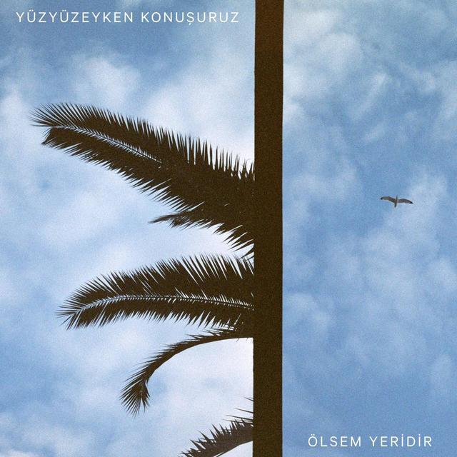 Album cover art for Ölsem Yeridir