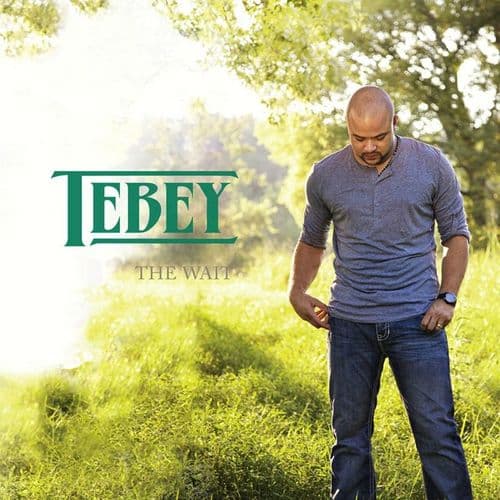 Album cover art for The Wait