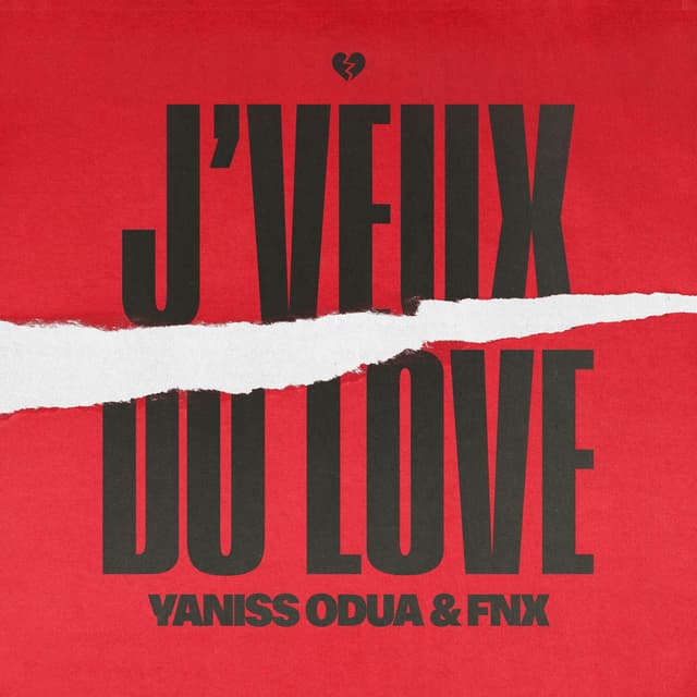 Album cover art for J'veux du Love