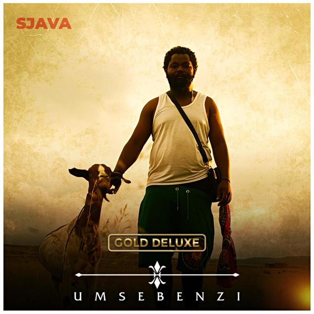 Album cover art for Umsebenzi