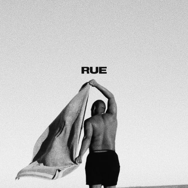Album cover art for Rue