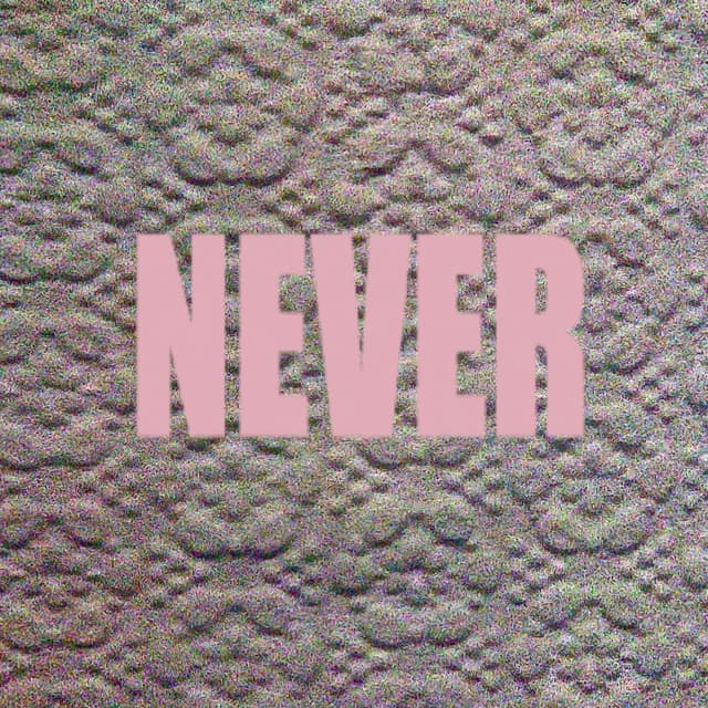 Album cover art for Never