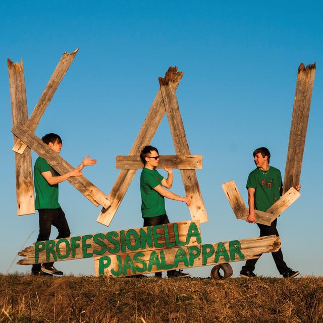 Album cover art for Professionella pjasalappar