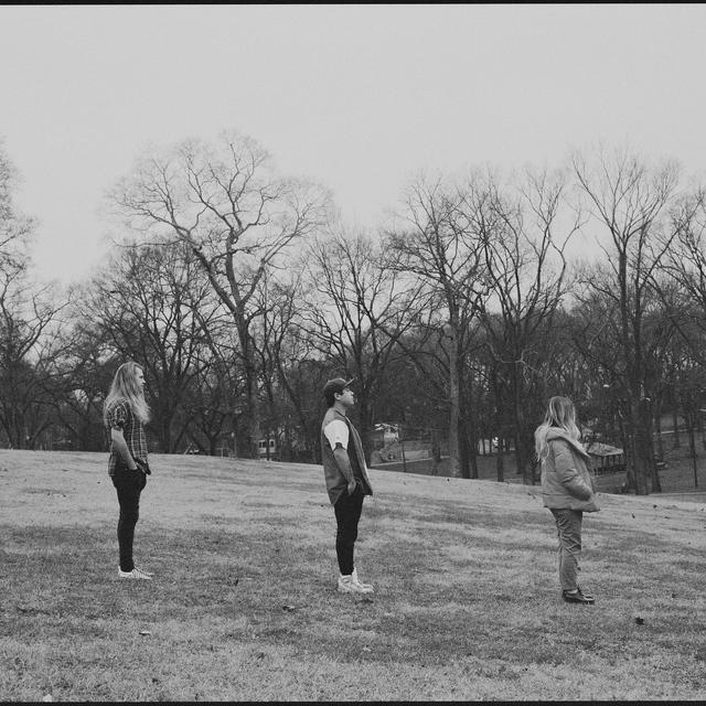 Album cover art for Sadie Hawkins II