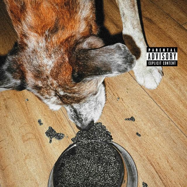 Album cover art for Du caviar pour mon chien