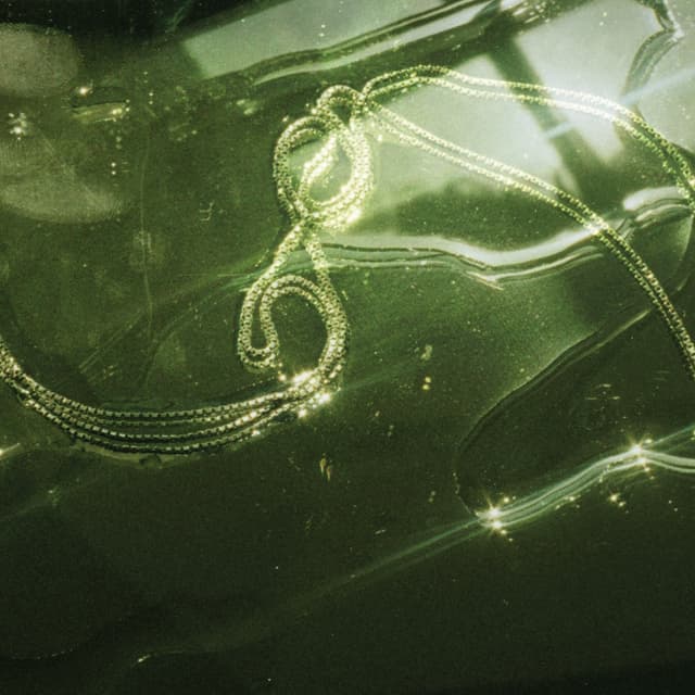 Album cover art for Halskæde