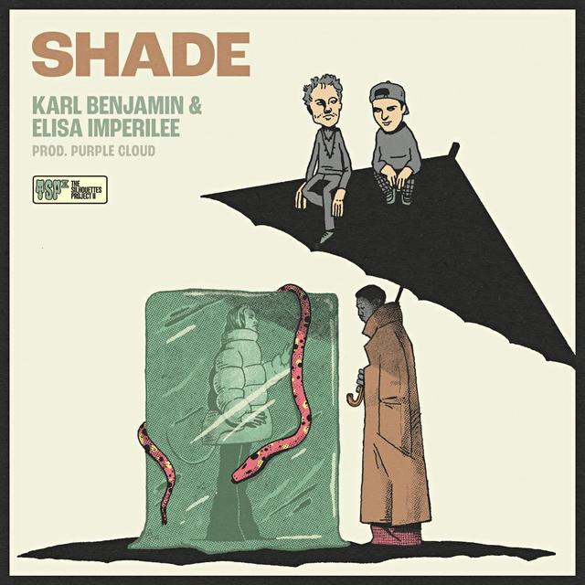 Album cover art for Shade