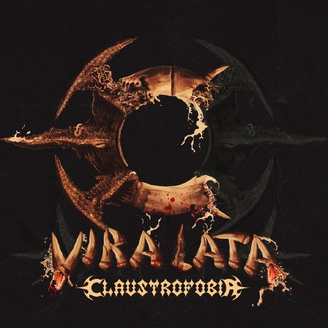 Album cover art for Vira Lata