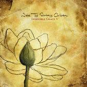 Album cover art for Wake Thy Slumbering Children: Indelible Grace V