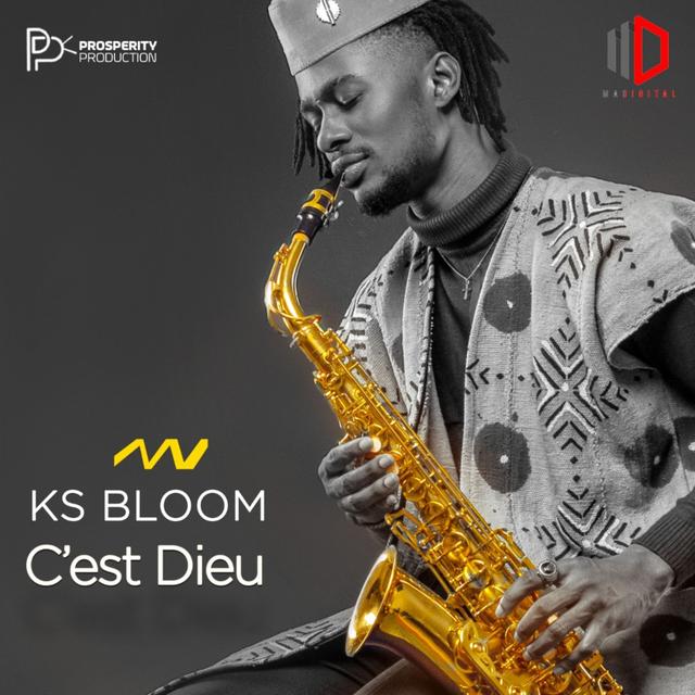 Album cover art for C'est DIEU