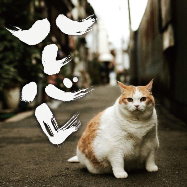 Album cover art for ハレバレ - EP