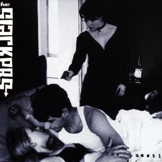 Album cover art for The Question