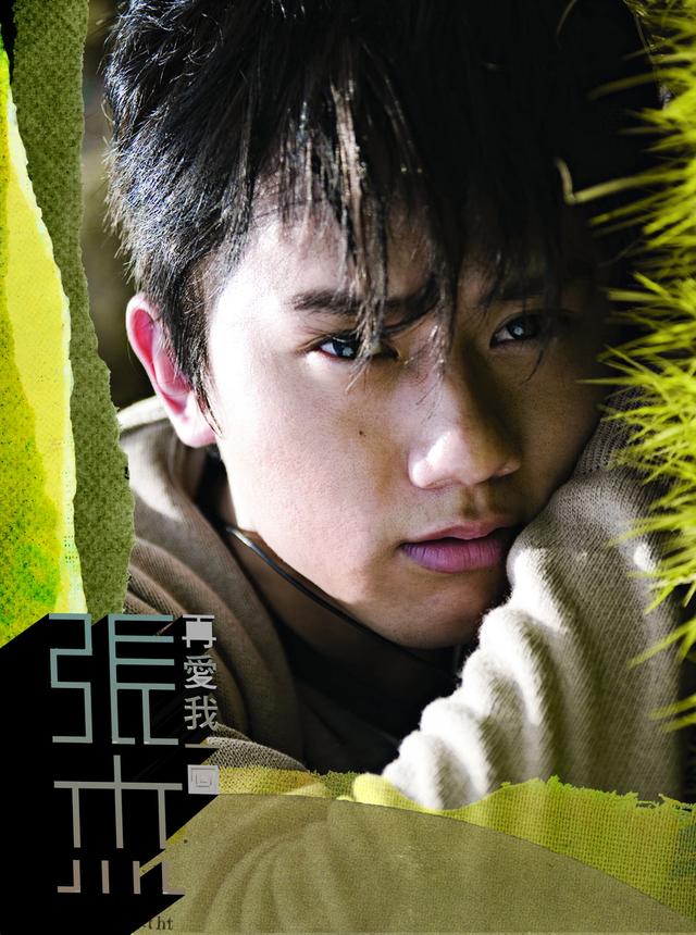Album cover art for Zai Ai Wo Yi Hui