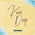 Album cover art for Knee Deep