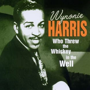 Album cover art for Who Threw The Whiskey In The Well