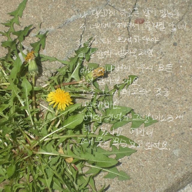 Album cover art for indivisible