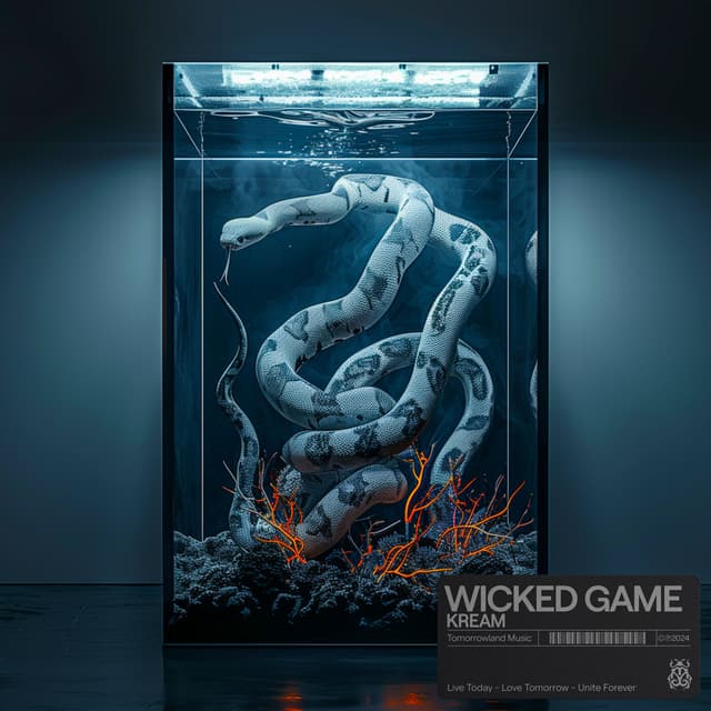 Album cover art for Wicked Game
