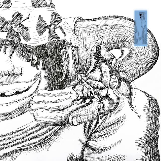 Album cover art for Rogue Intruder, Soul Enhancer