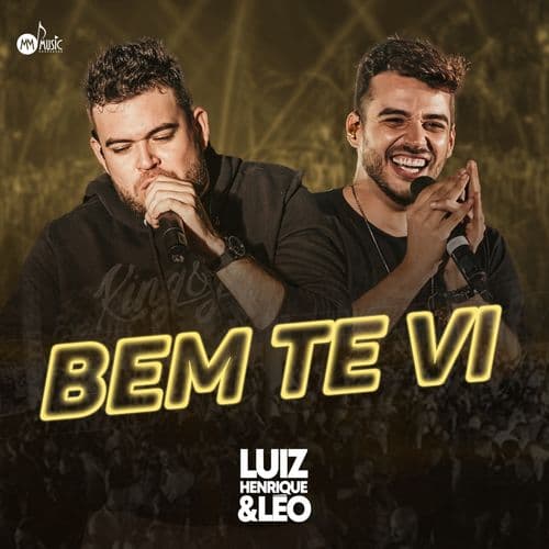 Album cover art for Bem Te Vi