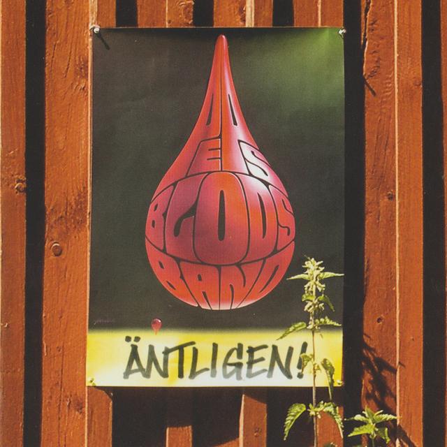 Album cover art for Äntligen!