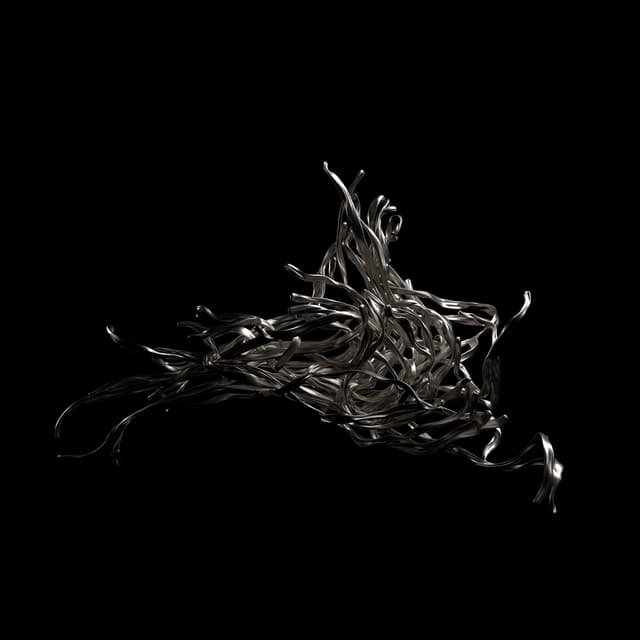 Album cover art for Forth