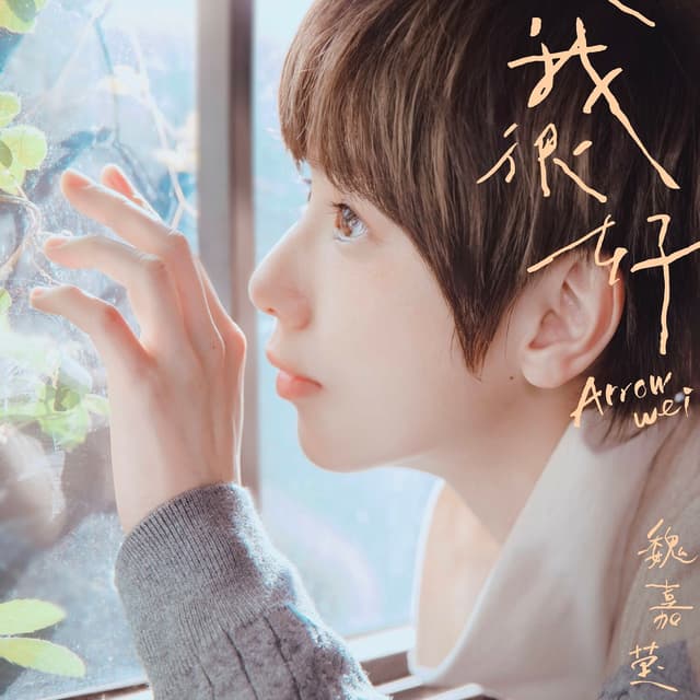 Album cover art for 我很好