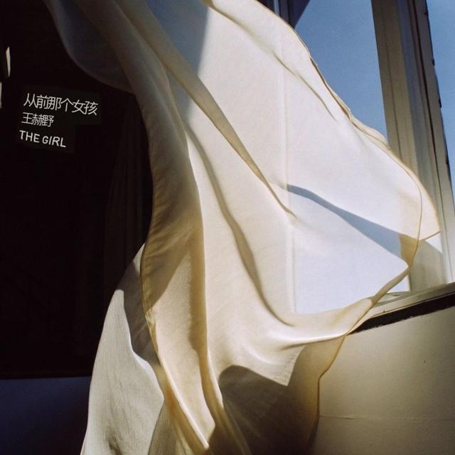 Album cover art for 从前那个女孩