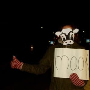 Album cover art for Mook