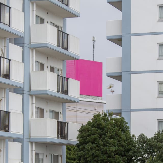 Album cover art for 健忘者たち