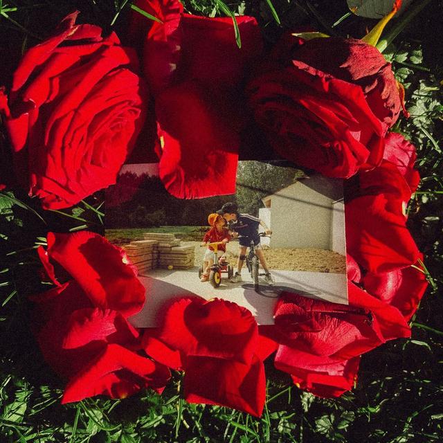 Album cover art for Maman pleure