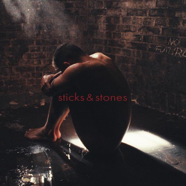 Album cover art for Sticks & Stones