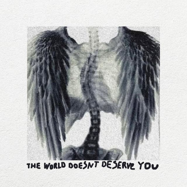 Album cover art for The World Doesn't Deserve You