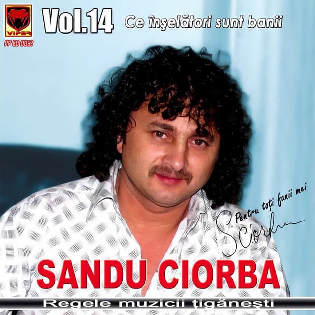 Album cover art for Ce înşelători sunt banii - Vol.14