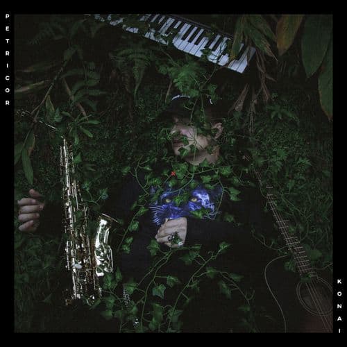 Album cover art for Petricor