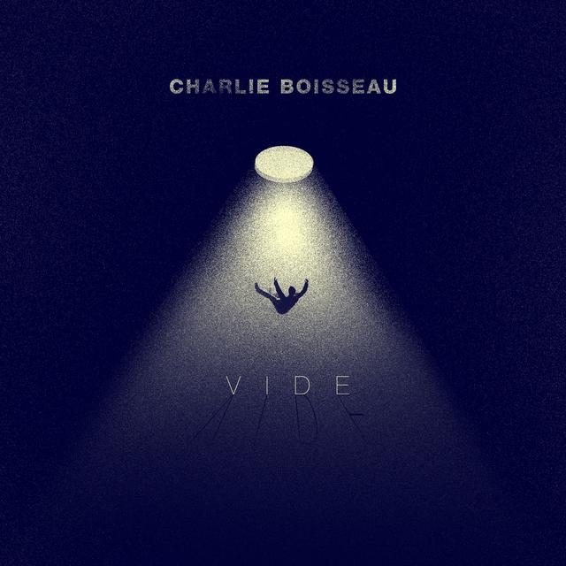 Album cover art for Vide